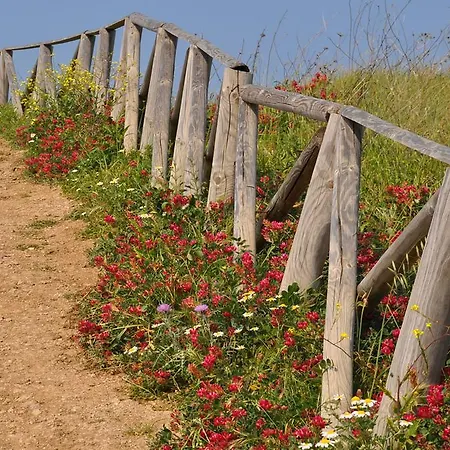 La Masseria * Vasto